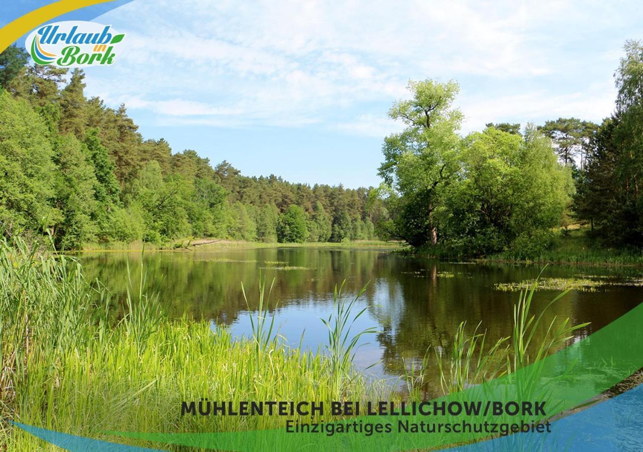 Вілла Jagd-Angler-Holzhaus-Im-Wald-Am-See Киріц Екстер'єр фото
